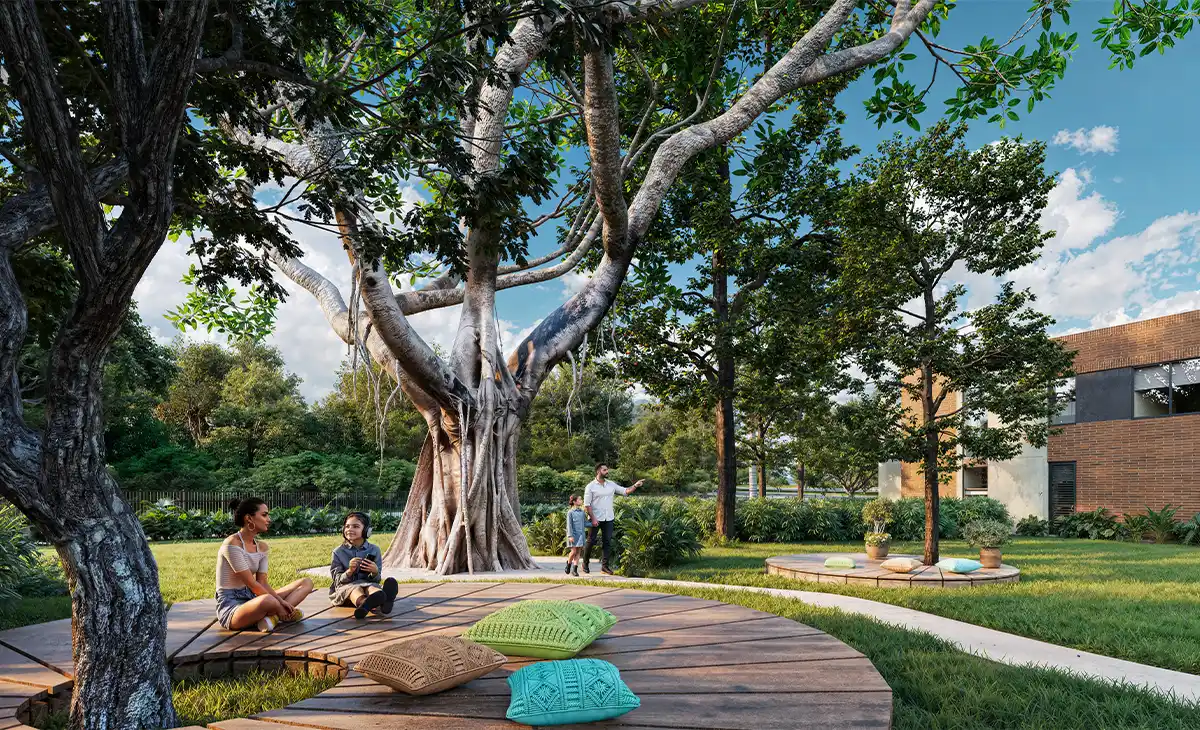 galeria pance nativo respira