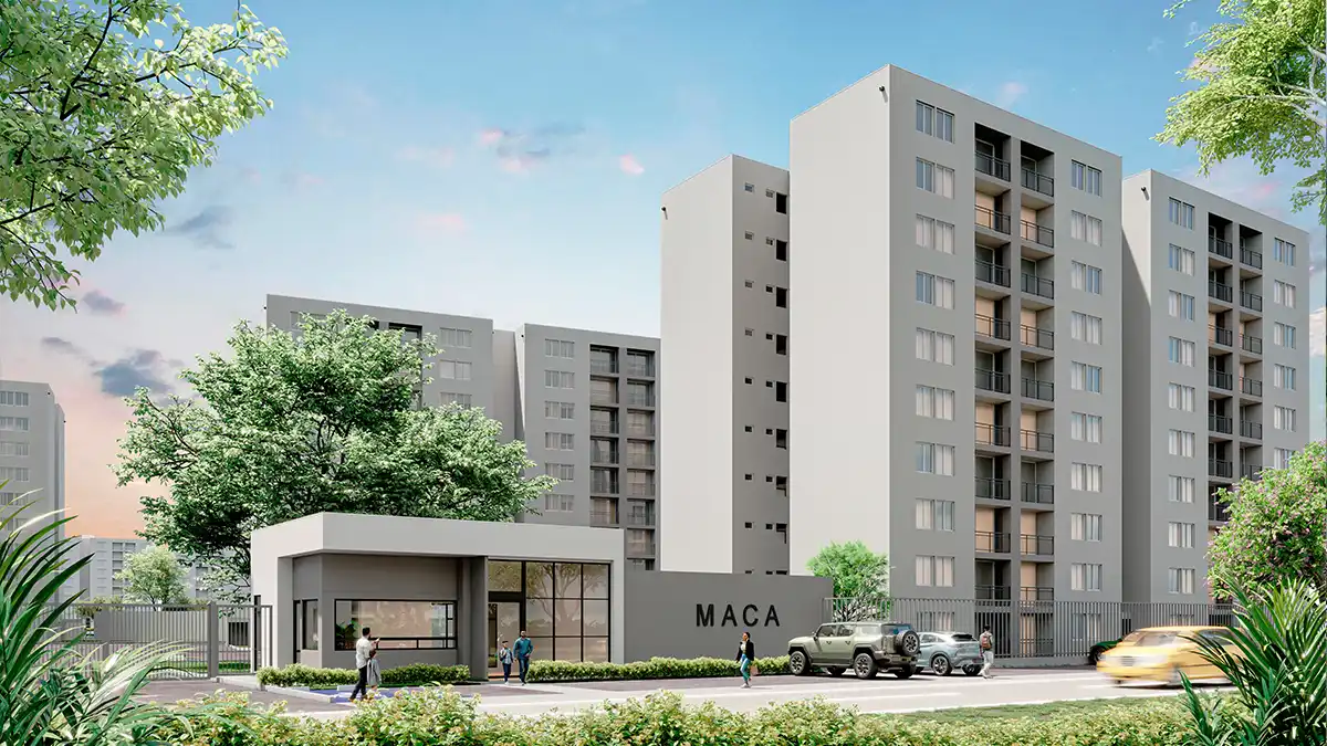 galeria-maca-1