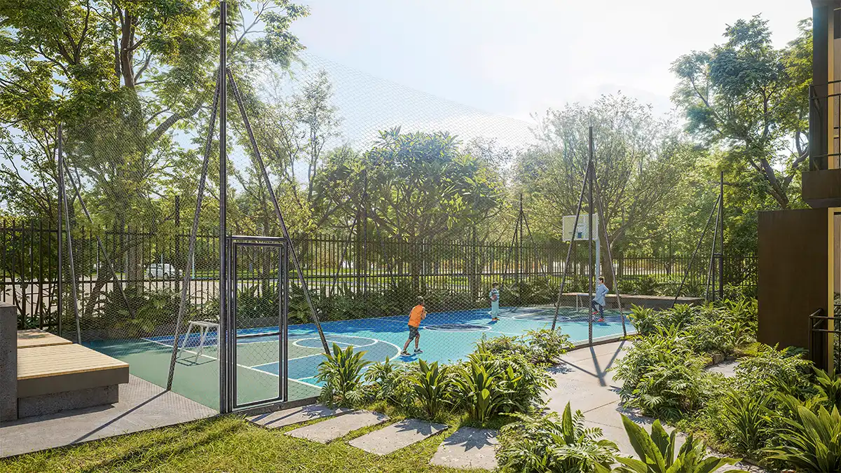 vista-canchas-violet-galeria