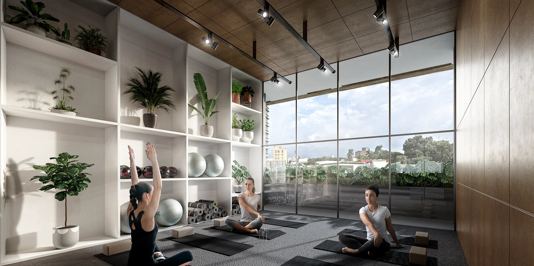 trialto-yoga-studio